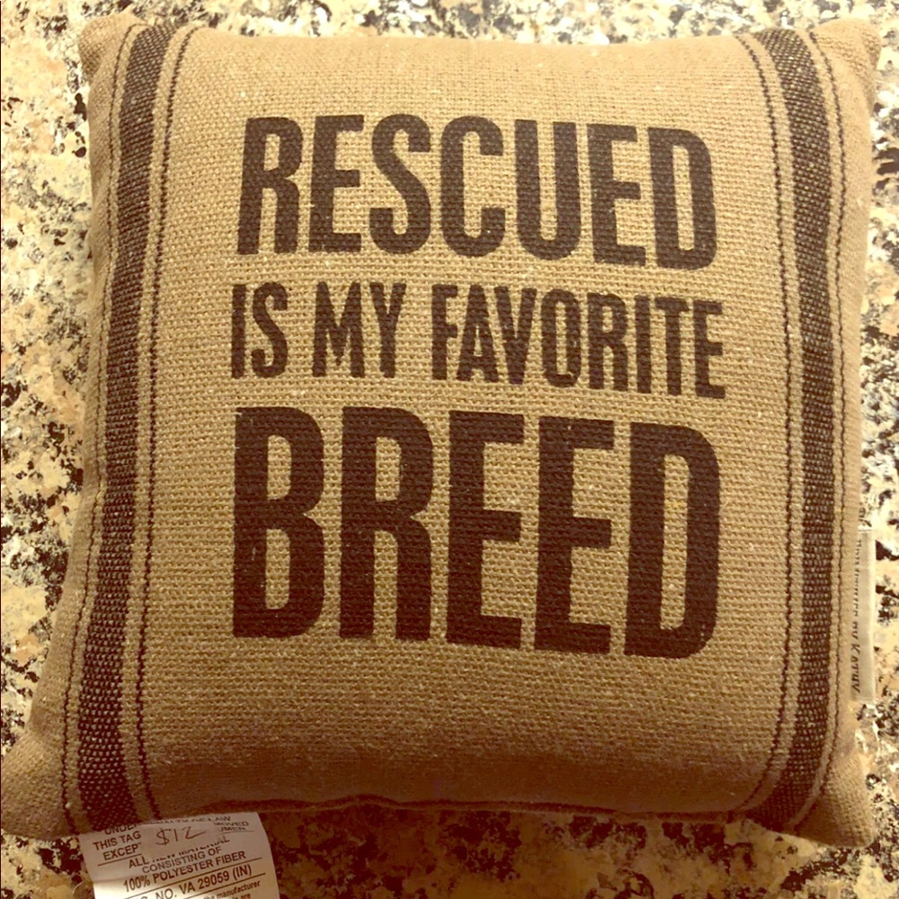 Small Pet pillow 10”x10”